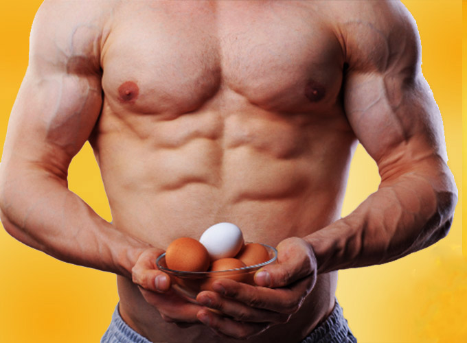 سفیده تخم مرغ، بدنسازی، تقویت عضلات