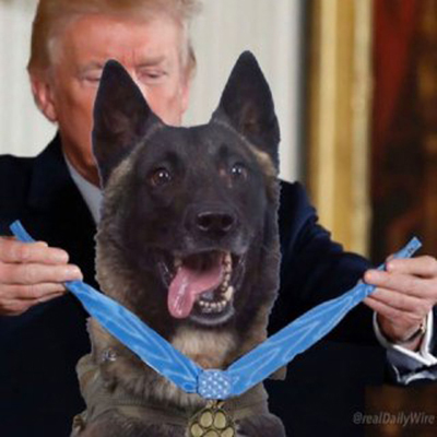 دونالد ترامپ به سگ یابنده ابوبکر بغدادی مدال شجاعت اهدا کرد