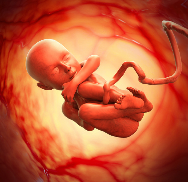 علت لگد زدن جنین به دهانه رحم