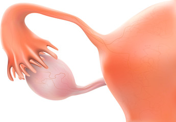 پماد عفونت واژن ، چه قرصی برای عفونت واژن خوبه