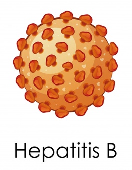درمان هپاتیت ب به روش سنتی ، دشمن هپاتیت B