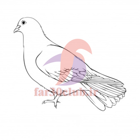 نقاشی ساده و زیبا با آبرنگ ، نقاشی ساده و زیبا با مداد سیاه