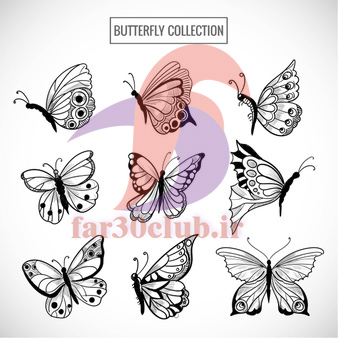 طرح پروانه ساده برای تاتو ، طرح تاتو شکل پروانه